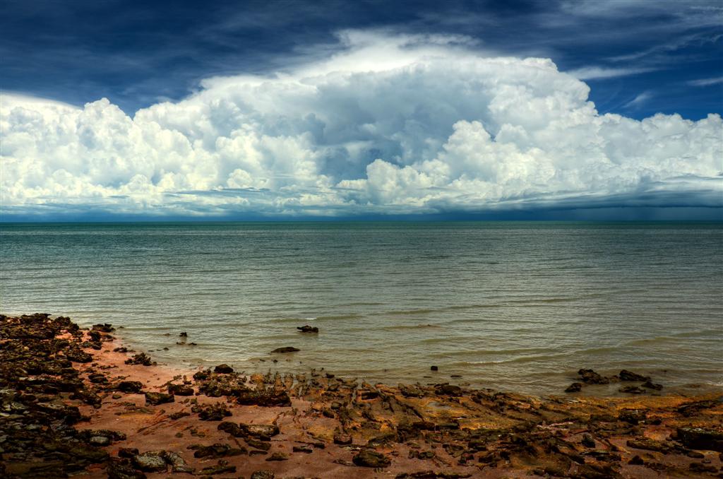 Hector Comes to Darwin - Photo Courtesy of Paul Thomsen